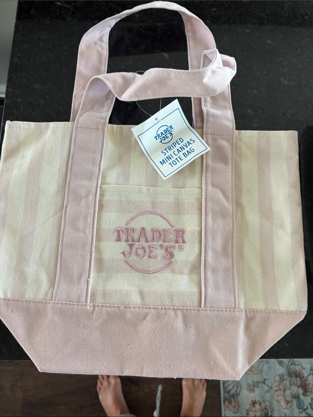 Trader Joe's Pink Striped Canvas Mini Tote